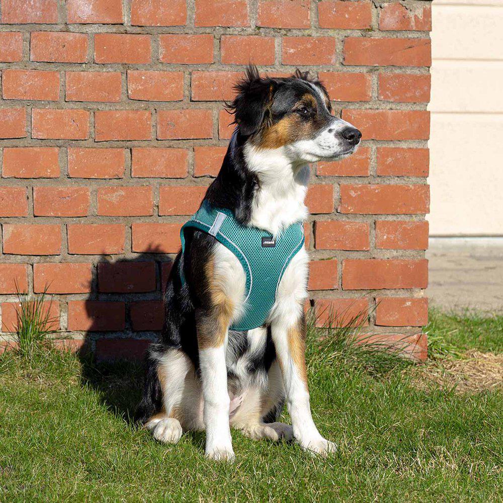 Ozami Sele Air-mesh Turkis