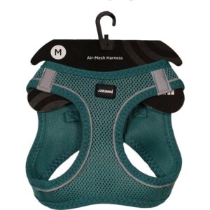 Ozami Sele Air-mesh Turkis