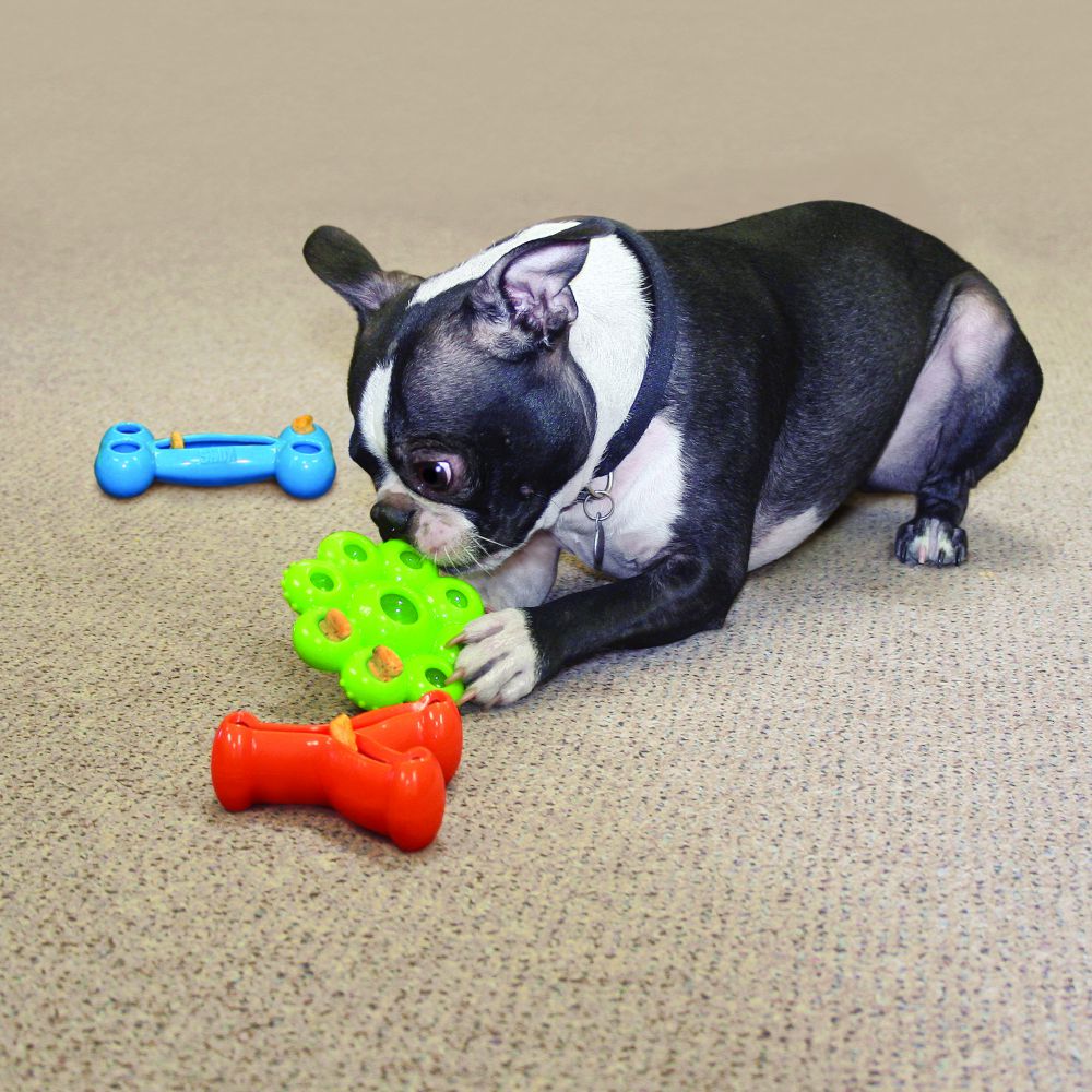 KONG Quest Star Pod Aktivitetsleke Hundeleke S