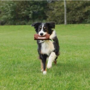 Trixie Preydummy Canvas