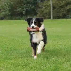 Trixie Preydummy Canvas