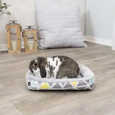 Sunny seng til Kanin