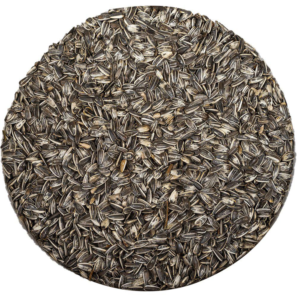 Solsikkefrø stripet i 4 kg bøtte utefugl