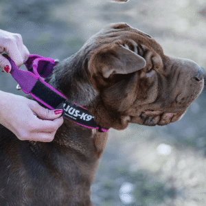 Super grip Halsbånd, med håndtak Julius K9