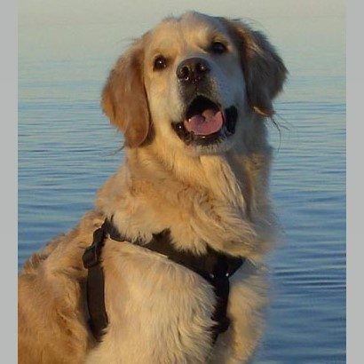 VGW Extension Anti-trekksele Svart