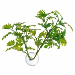 Zoo Med Betta Plant Window Leaf