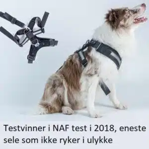 Mim Allsafe Bilsele-Sikkerhetssele til hund