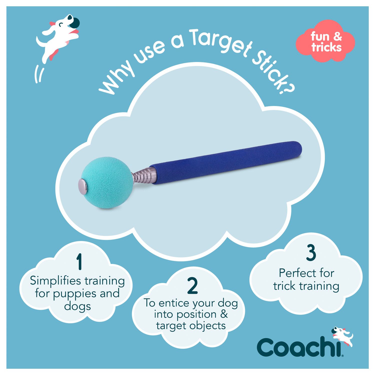 Coachi Target Stick