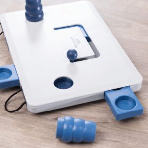 Dog Activity Move2Win