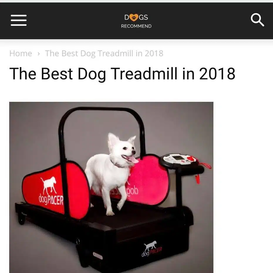DogPACER MINI tredemølle