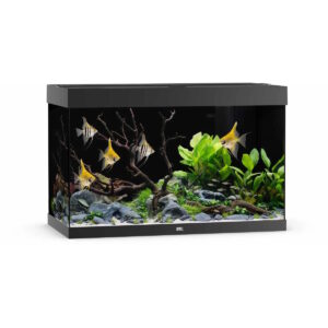 Juwel Rio 290 LED akvarium 101x51x66cm