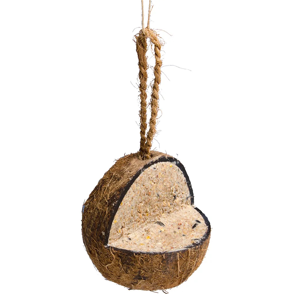 Kokosnøtt Med Plattform – talg og frø