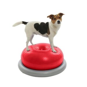 Kruuse Physio Tactile Doughnut Ball Balansepute Styrketrening Fysioterapi Hund