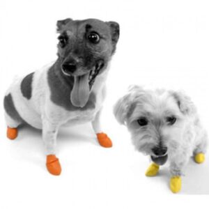 Pawz vanntette engangs sokker- Ballong sokker til hund