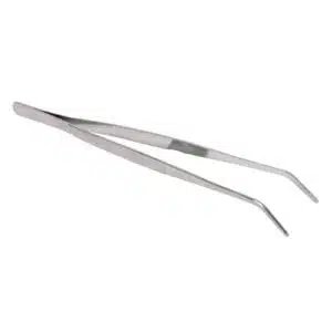 Forpinsett reptil og fugl