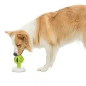 Trixie Lick’n’Snack Ball Aktivitetsleke med sugekopp