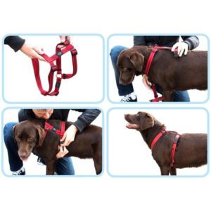 Rogz utility sele, 10 farger, 4 størrelser