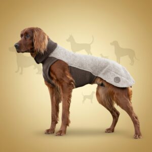 Sidney ulldekken i merinoull – for korthårede hunder