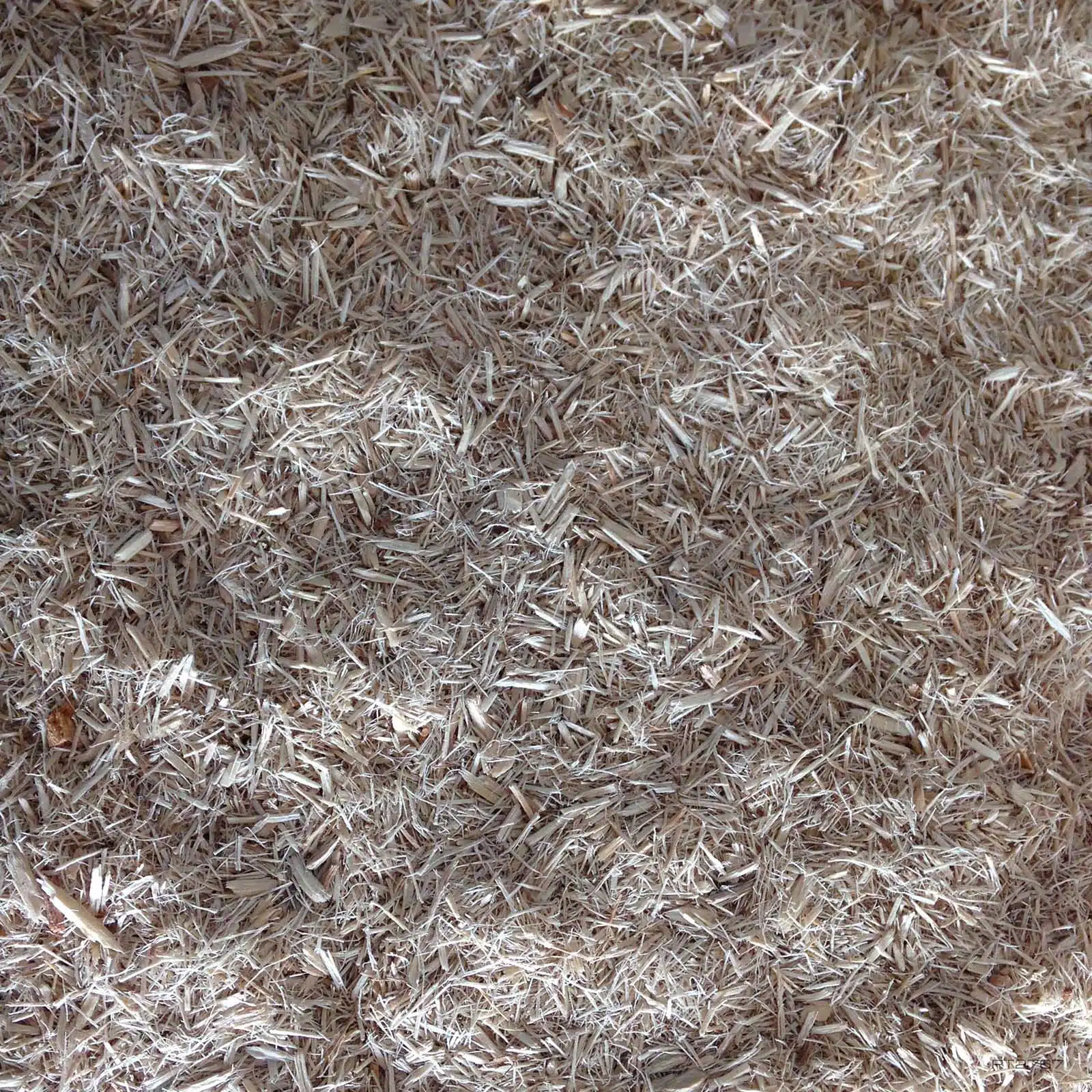 Snake Bedding Substrat Exoterra