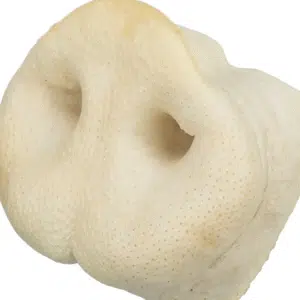 Trixie Tørket Grisetryne