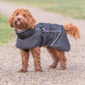 Trixie Brizon 2.0 Vinterjakke til Hund – Varm og Vanntett