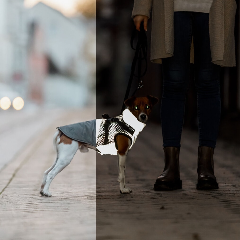 Trixie Vinterdekken med sele og refleks