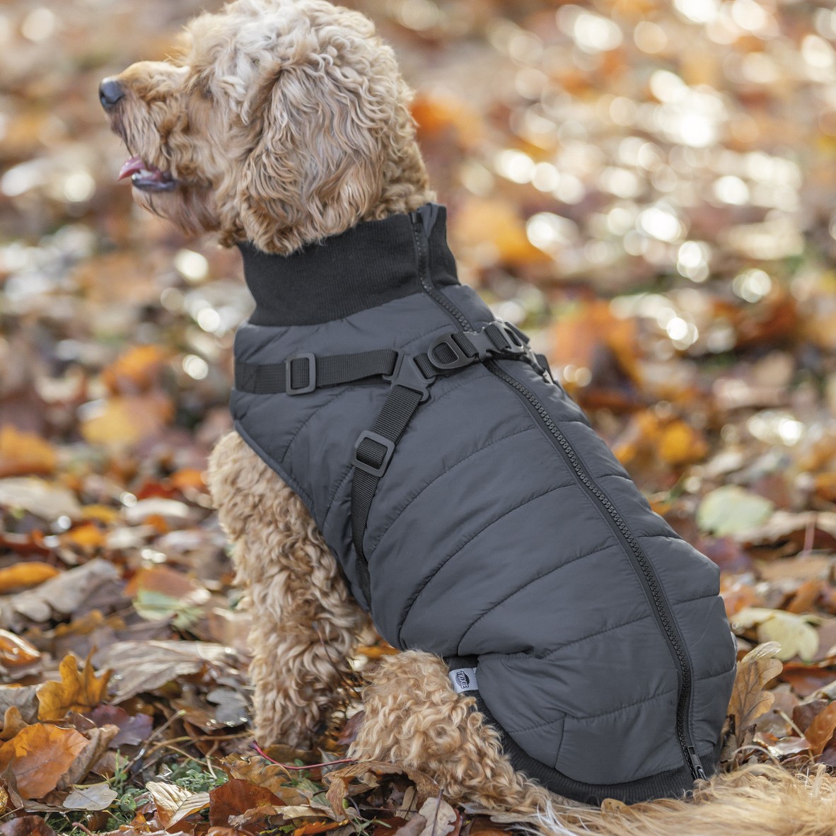 Trixie Vinterdekken med sele og refleks