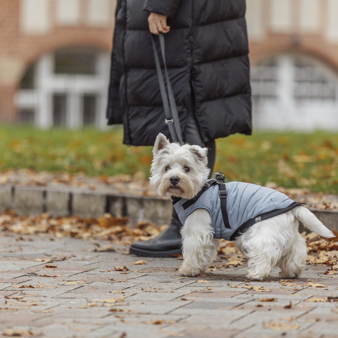 Trixie Vinterdekken med sele og refleks