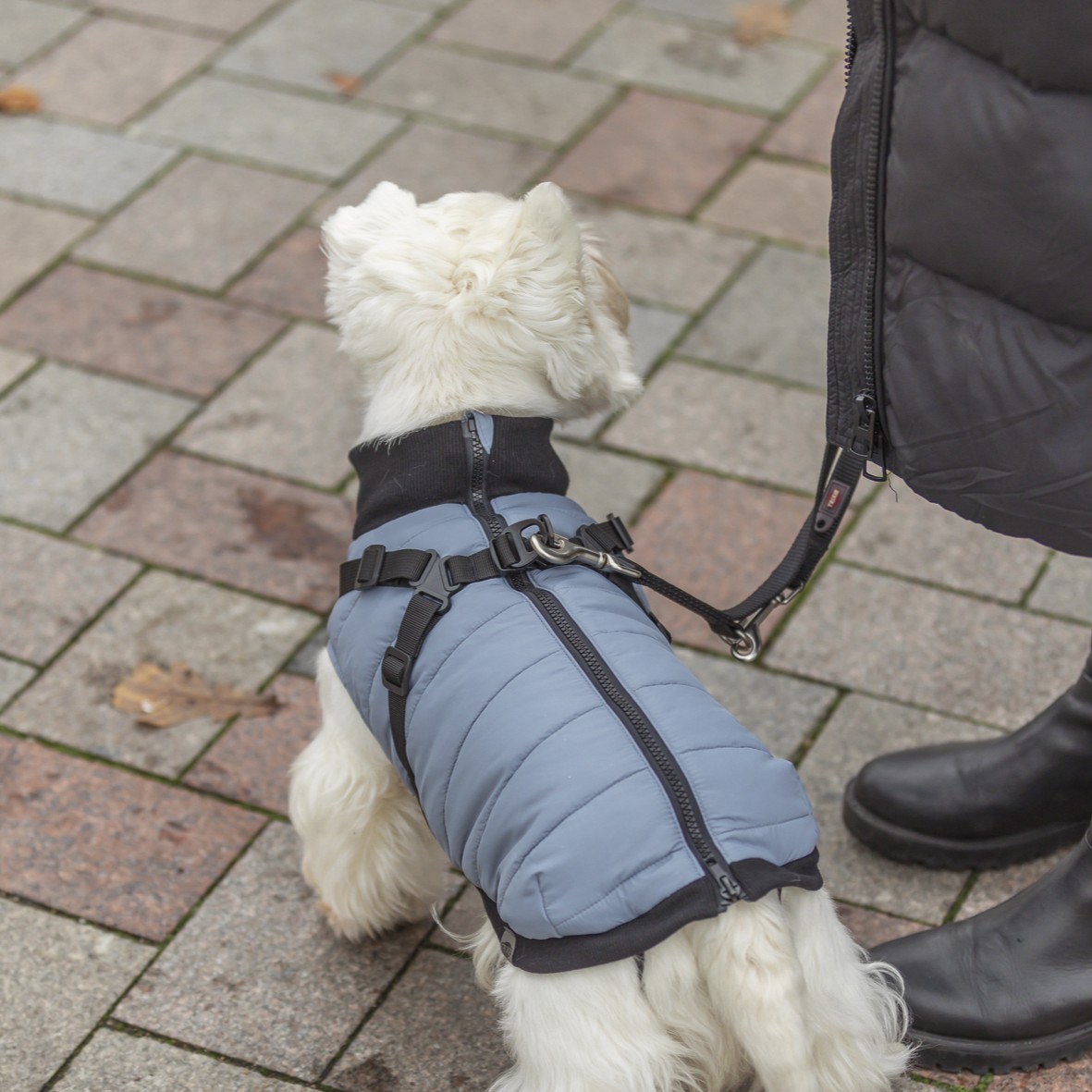 Trixie Vinterdekken med sele og refleks