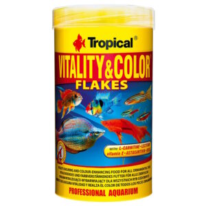 Tropical Vitality & Color