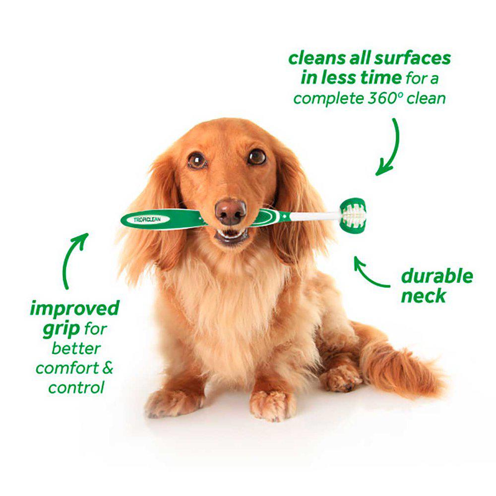 Tropiclean Tannpleiesett