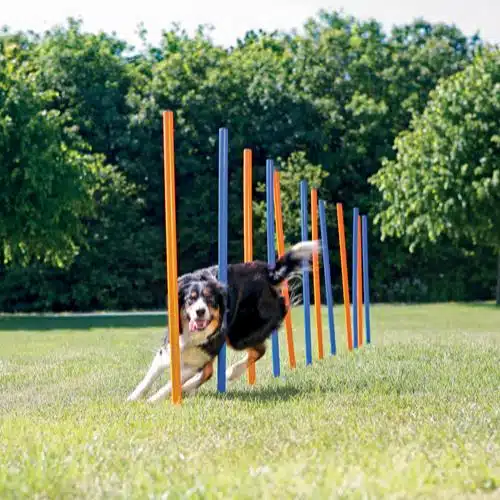 Trixie Agility Slalåm