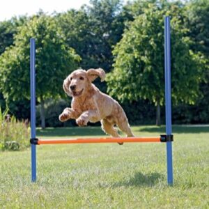 Trixie Agility hund Hurdle Hopphinder
