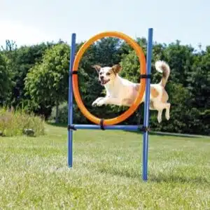 Trixie Fun Agility Ring Hopp Hinder
