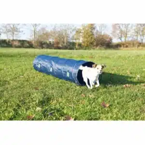 Trixie Fun Agility Mini Tunnel 2m ø 40 cm