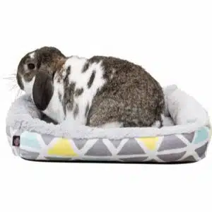 Sunny seng til Kanin