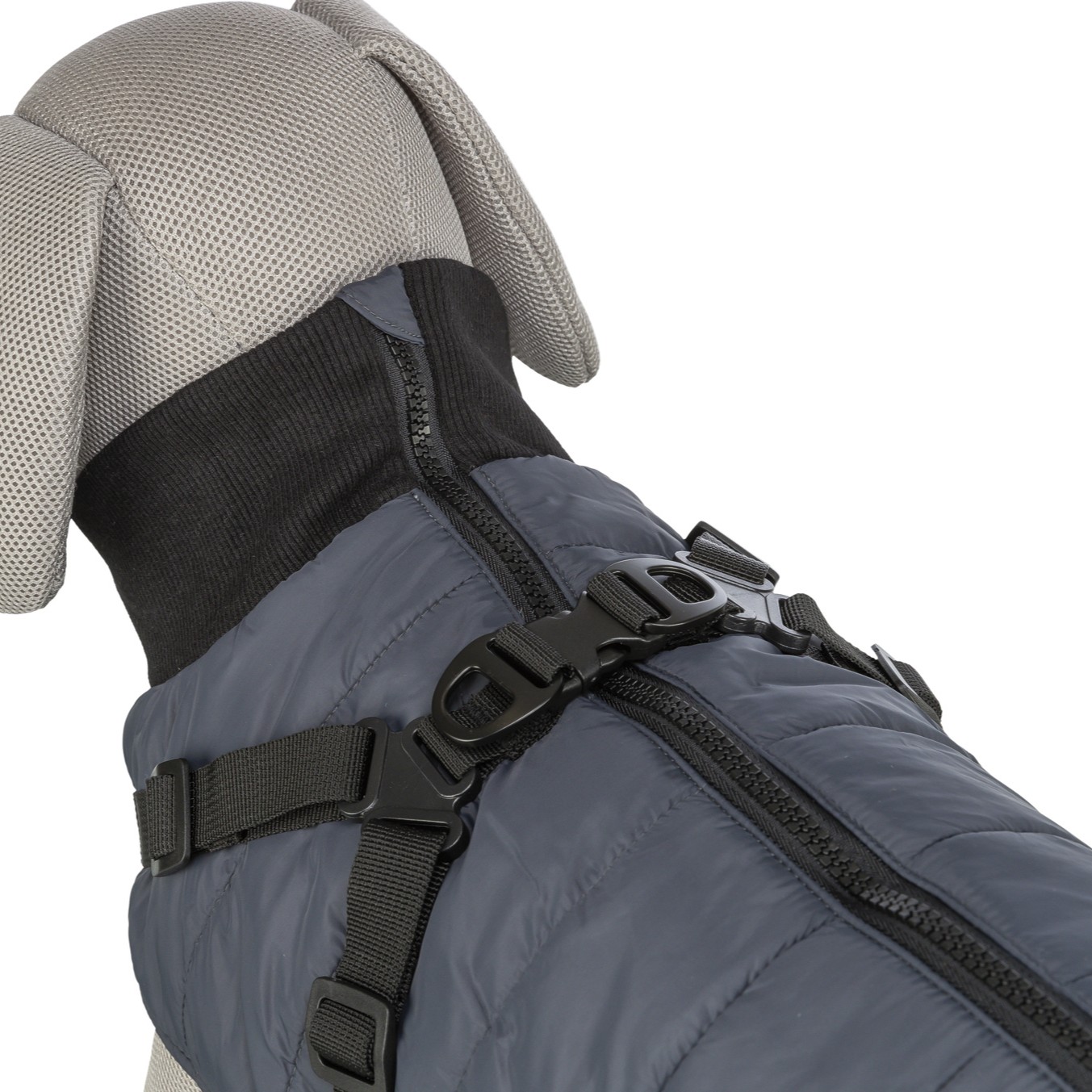 Trixie Vinterdekken med sele og refleks