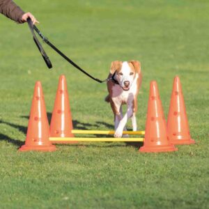 Trixie Agility Pylon Obstacle Set Hinder Cavaletti x 2