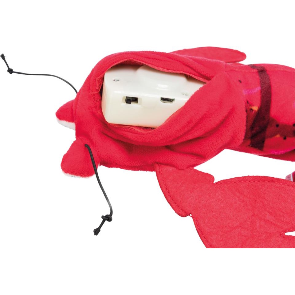 Wriggle shrimp med Catnip